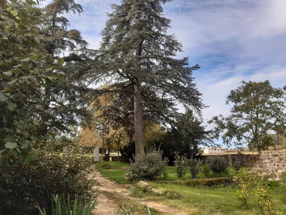 "La Voute De Pierre" Gite Independant Saint-Cyr  Εξωτερικό φωτογραφία